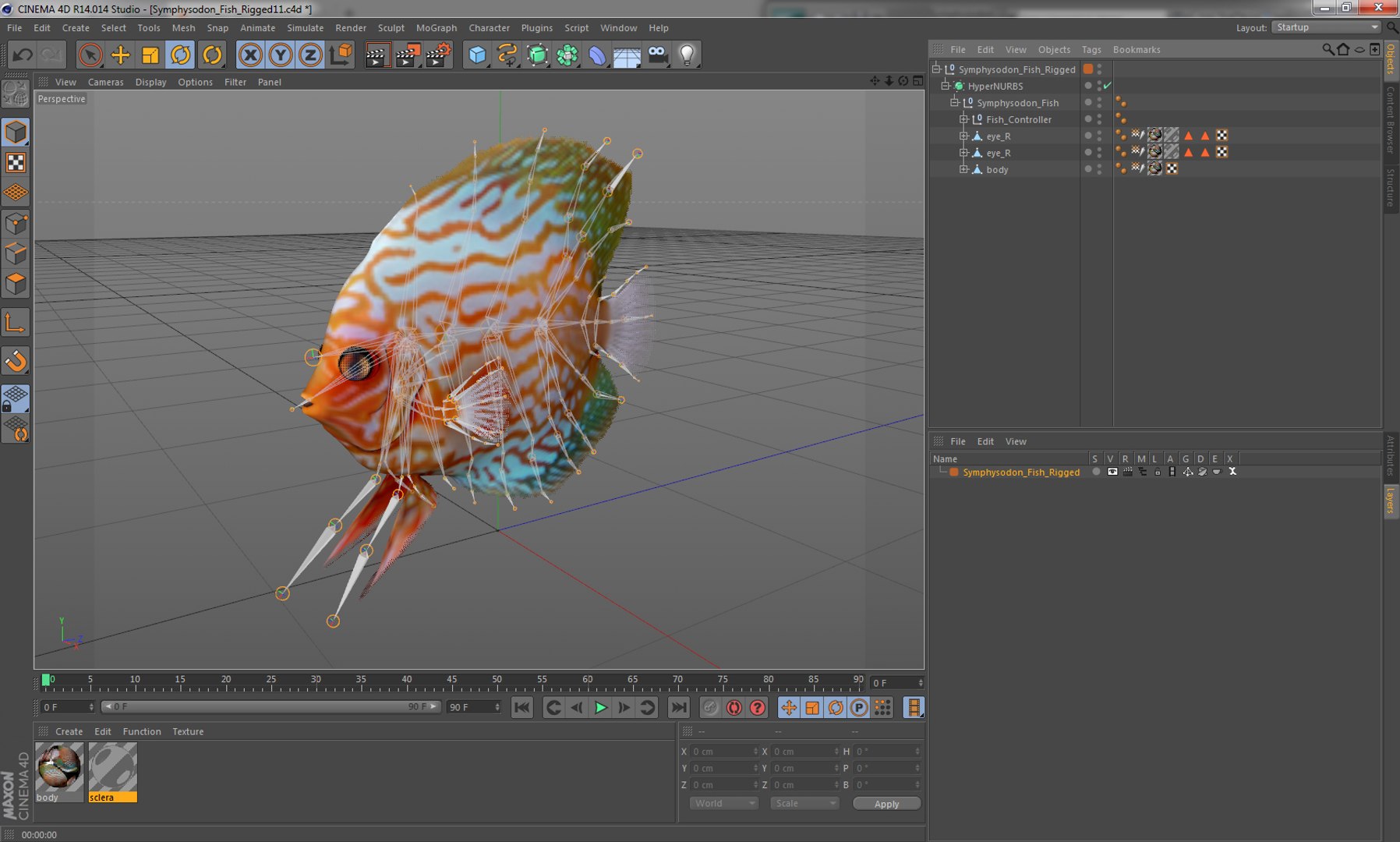 c4d symphysodon fish rigged https://p.turbosquid.com/ts-thumb/SN/bJiP8a/AsznhDYd/symphysodonfishriggedcinema4d3dmodel16/jpg/1479927761/1920x1080/fit_q87/7e8e5fe0d17fb77b561db0df7cf2e8d135459852/symphysodonfishriggedcinema4d3dmodel16.jpg