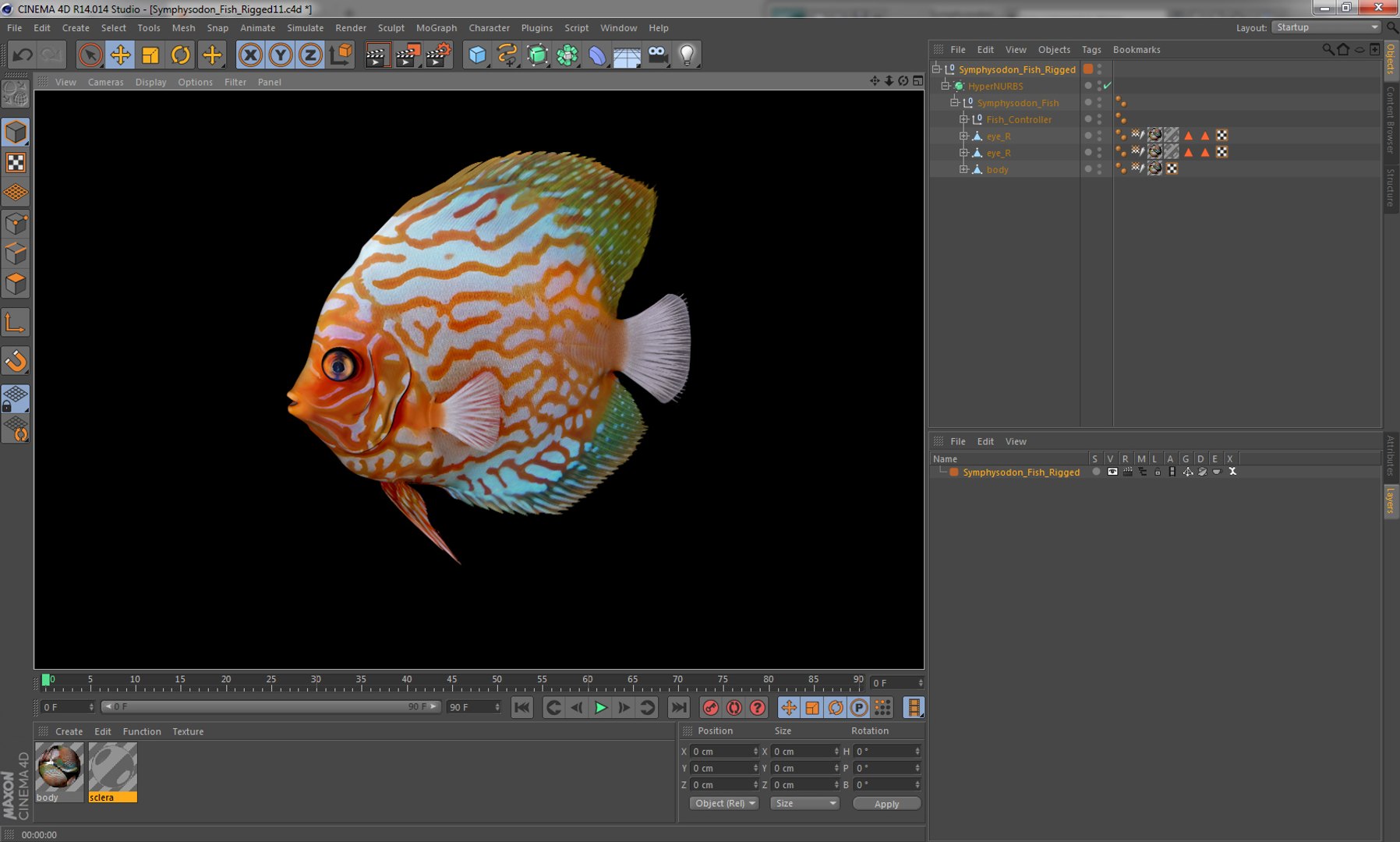 c4d symphysodon fish rigged https://p.turbosquid.com/ts-thumb/SN/bJiP8a/PbrJEDCh/symphysodonfishriggedcinema4d3dmodel15/jpg/1479927761/1920x1080/fit_q87/9770b163d4ba7bbf1651b510f293ba5f6ea64246/symphysodonfishriggedcinema4d3dmodel15.jpg