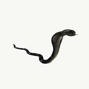 Snake king cobra