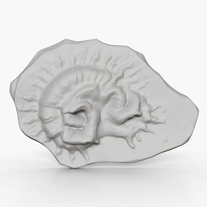 Fungus Fossil 124 3D model
