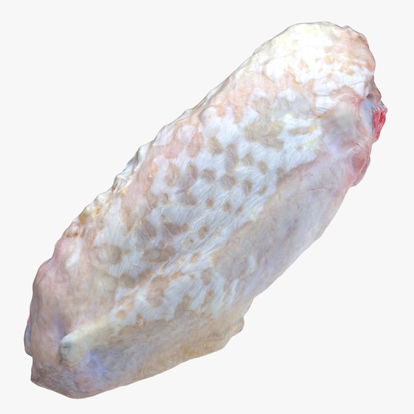 Chicken Wing 01 3D model