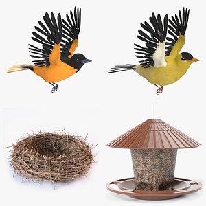 Animated Bird and Accessory Set