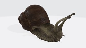 Sluggish Snail 3D Model Ready to Print 3D