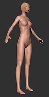 Female Body Base