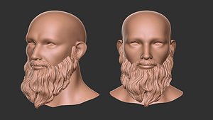 beard 3 3D model