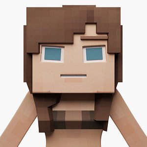 Minecraft Inspired Female Character