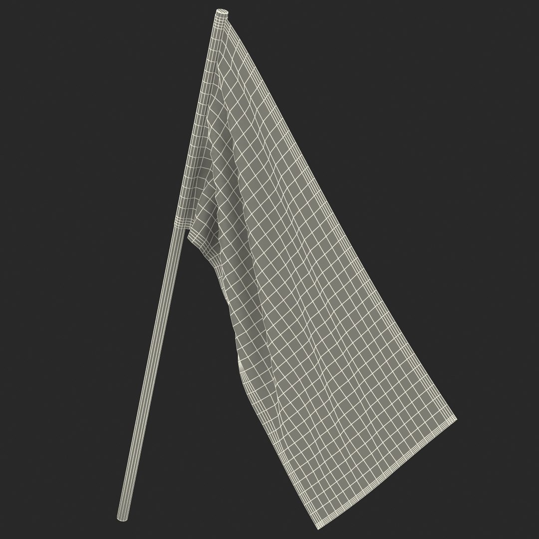 racing flag 3 3d model