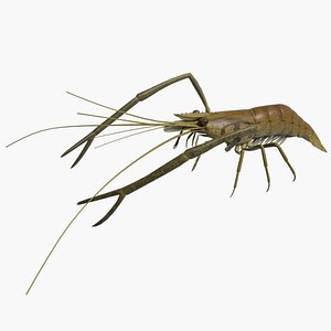 fresh water 3d model