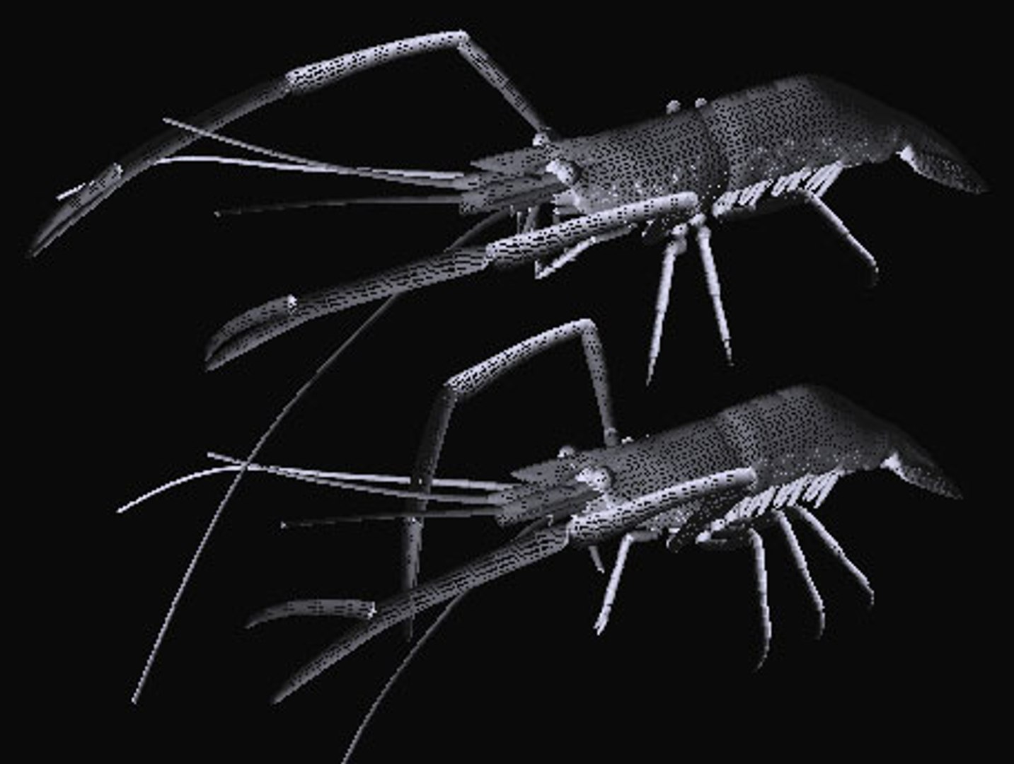 fresh water 3d model https://p.turbosquid.com/ts-thumb/SO/RpYn72/8oonxLzZ/tenagad/jpg/1608032908/1920x1080/fit_q87/4d0ef81e509da71e8fcfc56499180d51e4f16961/tenagad.jpg