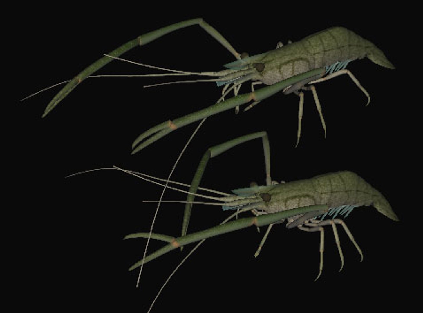 fresh water 3d model https://p.turbosquid.com/ts-thumb/SO/RpYn72/AxSzXrrr/tenagaa/jpg/1608032908/1920x1080/fit_q87/8fbb029486cea0d52e2c83a01d908300fe2e05be/tenagaa.jpg