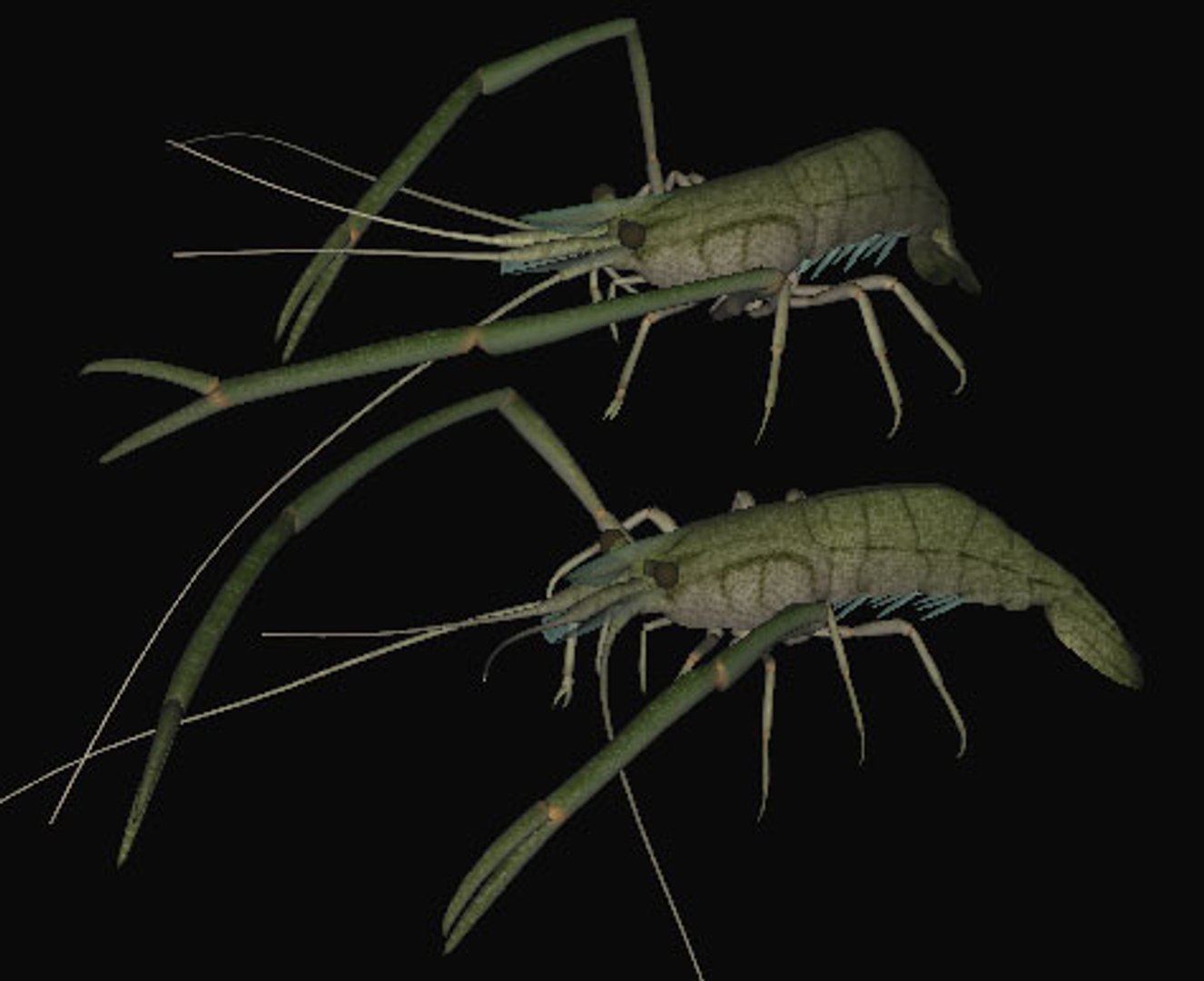 fresh water 3d model https://p.turbosquid.com/ts-thumb/SO/RpYn72/Ca6D7WQV/tenagac/jpg/1608032908/1920x1080/fit_q87/8c299a89302d9aeaa8f5a5e0e5c2bc8e748bd611/tenagac.jpg