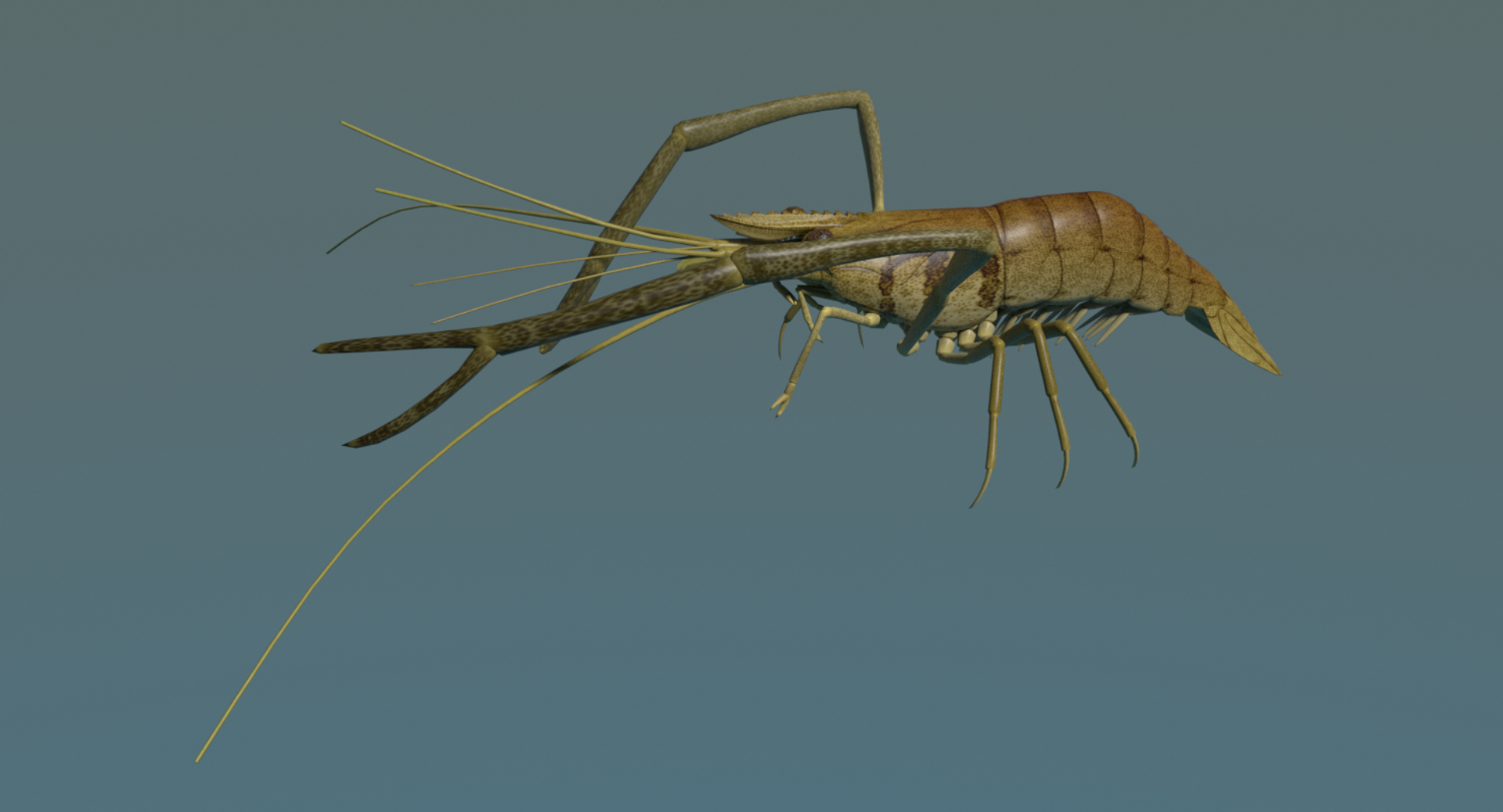 fresh water 3d model https://p.turbosquid.com/ts-thumb/SO/RpYn72/Tepxb4wr/turntable/png/1608032834/1920x1080/turn_fit_q99/0c86e4e9227e03c37b503c23425a4a7cb1e676ef/turntable-1.jpg
