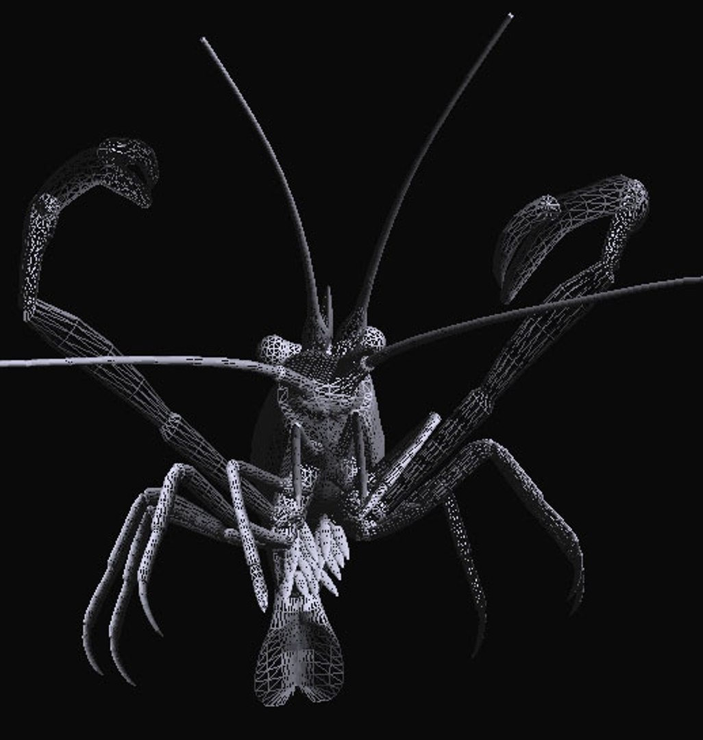 fresh water 3d model https://p.turbosquid.com/ts-thumb/SO/RpYn72/ZPKXLwSg/tenagae/jpg/1608032908/1920x1080/fit_q87/ee7de04771a13aeaa2c5343eff59388e638c3189/tenagae.jpg