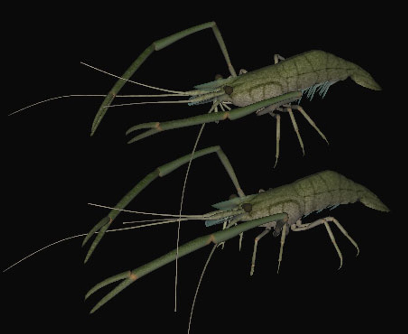 fresh water 3d model https://p.turbosquid.com/ts-thumb/SO/RpYn72/tEZxP5E6/tenagab/jpg/1608032908/1920x1080/fit_q87/f56b39e3eae1b387302b8d984514d08655f5ca93/tenagab.jpg