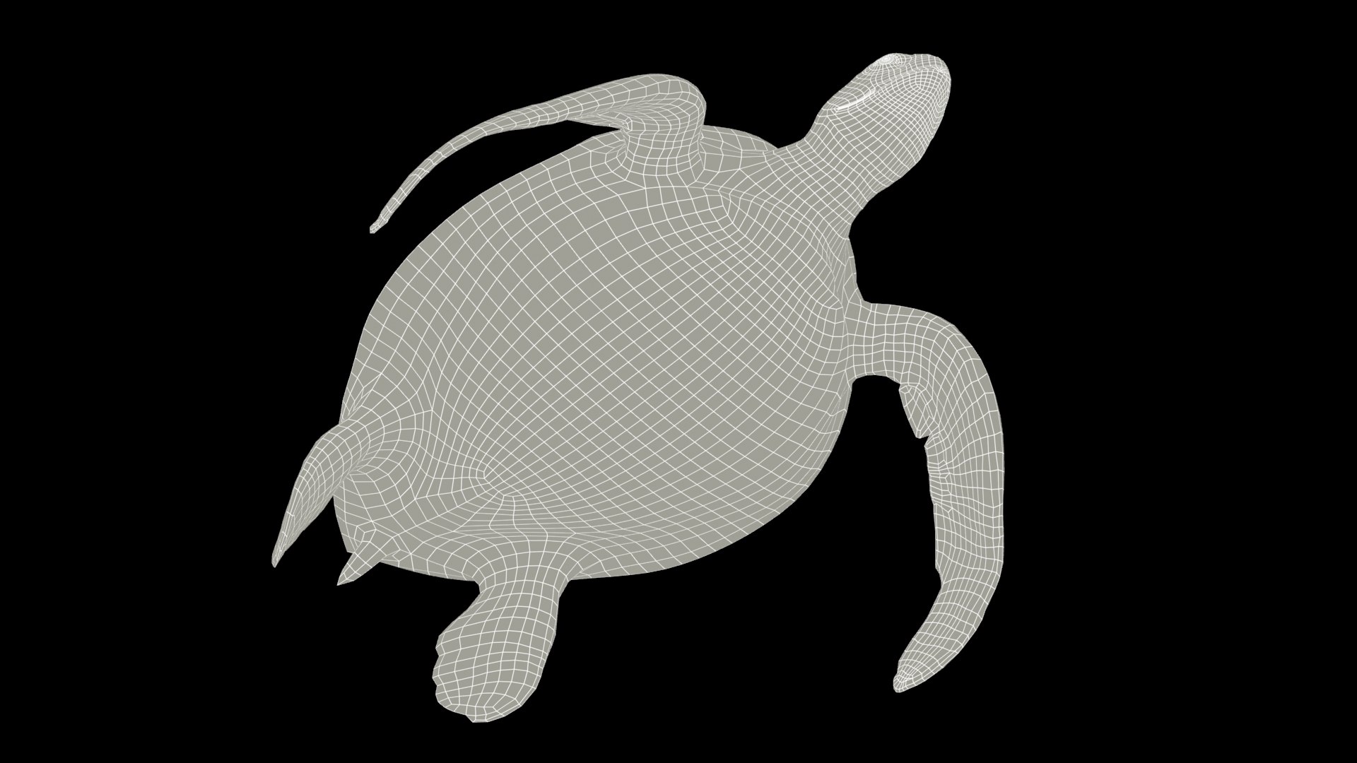 Green Sea Turtle Animated 3D model https://p.turbosquid.com/ts-thumb/SO/YFIcoT/b1/11greenseaturtle_screenshot/jpg/1768907657/1920x1080/fit_q87/b90301b59adf879a49a6bc3bffff79e74134d711/11greenseaturtle_screenshot.jpg