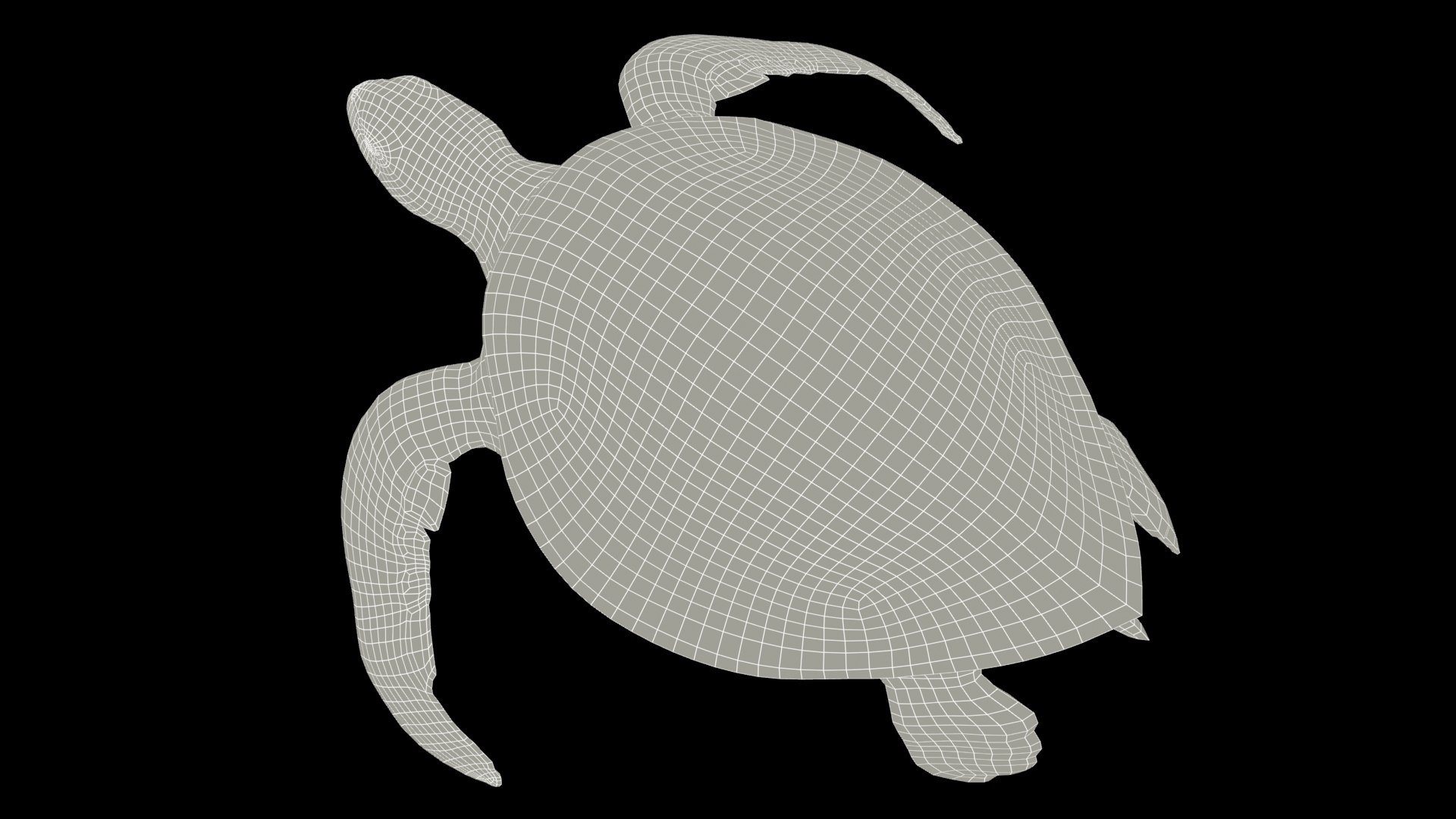 Green Sea Turtle Animated 3D model https://p.turbosquid.com/ts-thumb/SO/YFIcoT/cy/12greenseaturtle_screenshot/jpg/1768907658/1920x1080/fit_q87/0382505d551183154612708af345210881143bdb/12greenseaturtle_screenshot.jpg