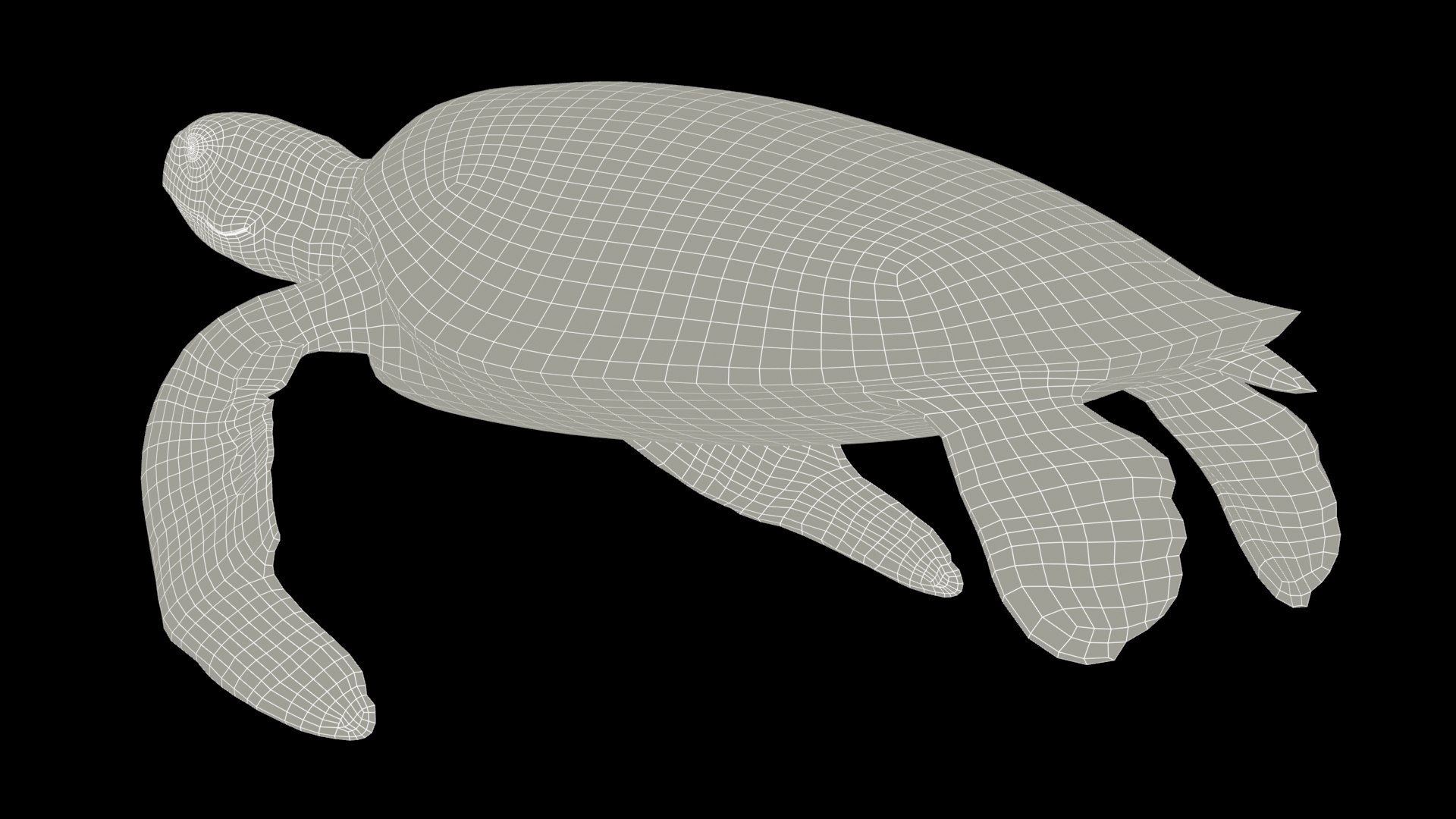 Green Sea Turtle Animated 3D model https://p.turbosquid.com/ts-thumb/SO/YFIcoT/i6/10greenseaturtle_screenshot/jpg/1768907658/1920x1080/fit_q87/afcdd047b6c8d2d0773732ec53f6a5195ad14204/10greenseaturtle_screenshot.jpg