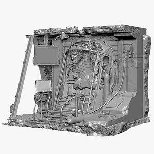 Capsule navigation
