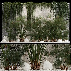 3D Garden And Tropical Flowerbed With Hanging Plants