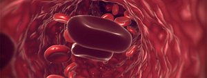 blood cells inside of vein