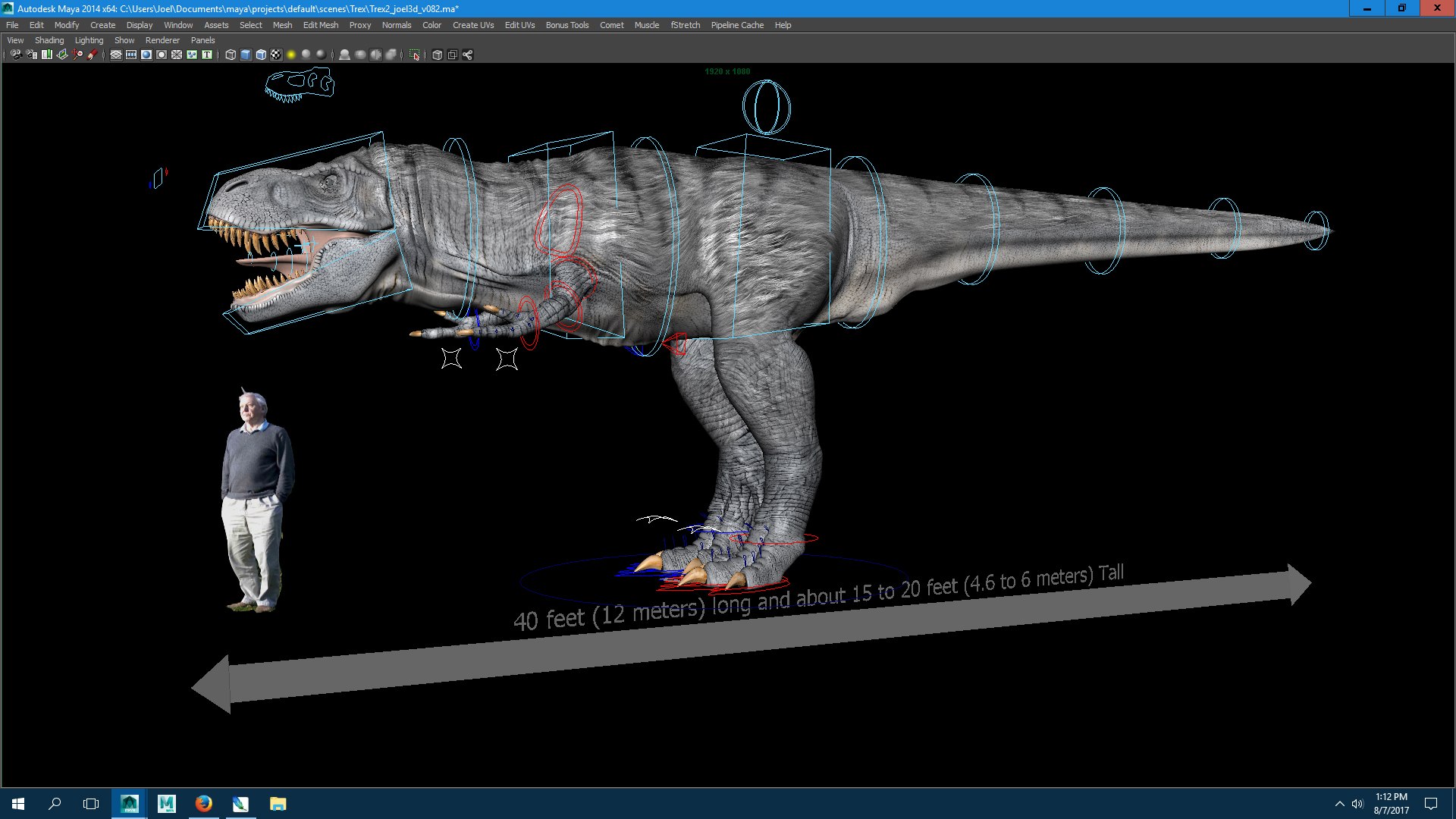 T Rex Stationary Walk Cycle 3D Model - TurboSquid 1225107