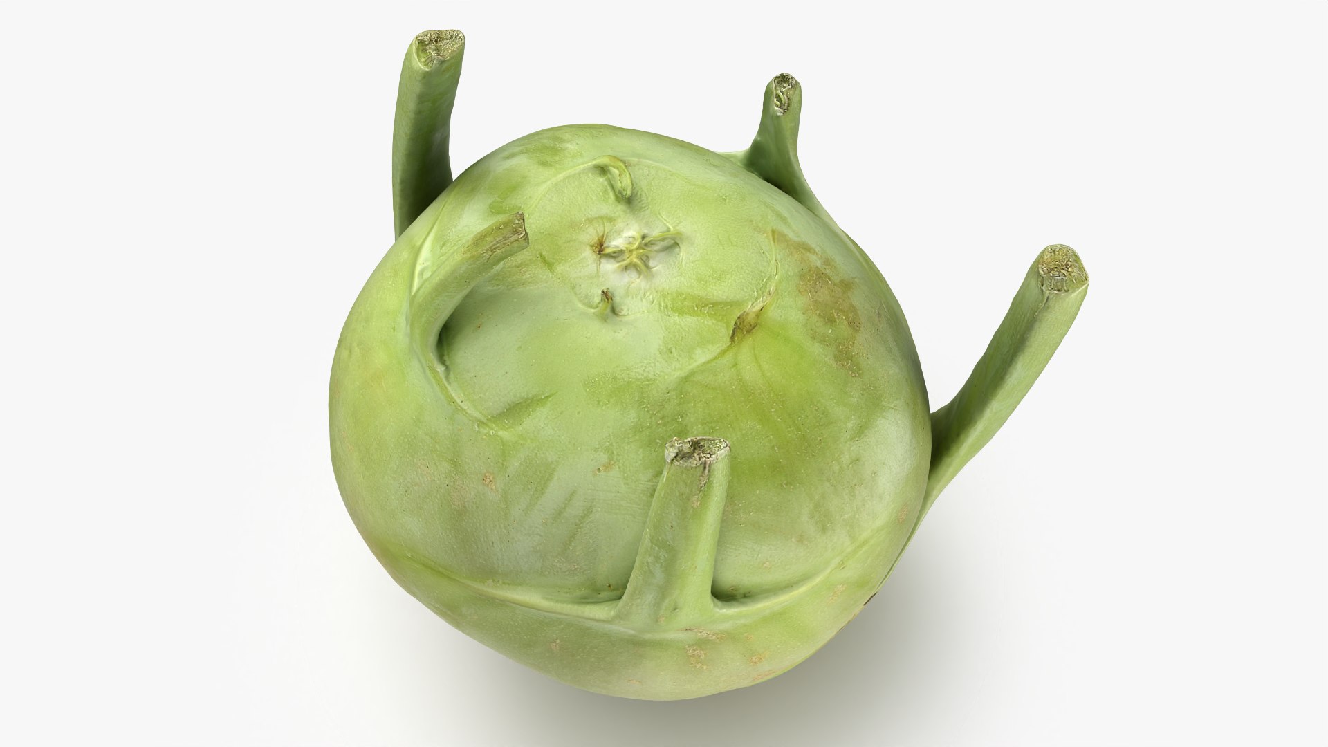 Kohlrabi German Turnip Collection 3D model https://p.turbosquid.com/ts-thumb/SP/AiCc2G/3F/kohlrabi02_0003/png/1783975325/1920x1080/fit_q87/26062bf2d7dd217577af251488cee96c6f2a7919/kohlrabi02_0003.jpg