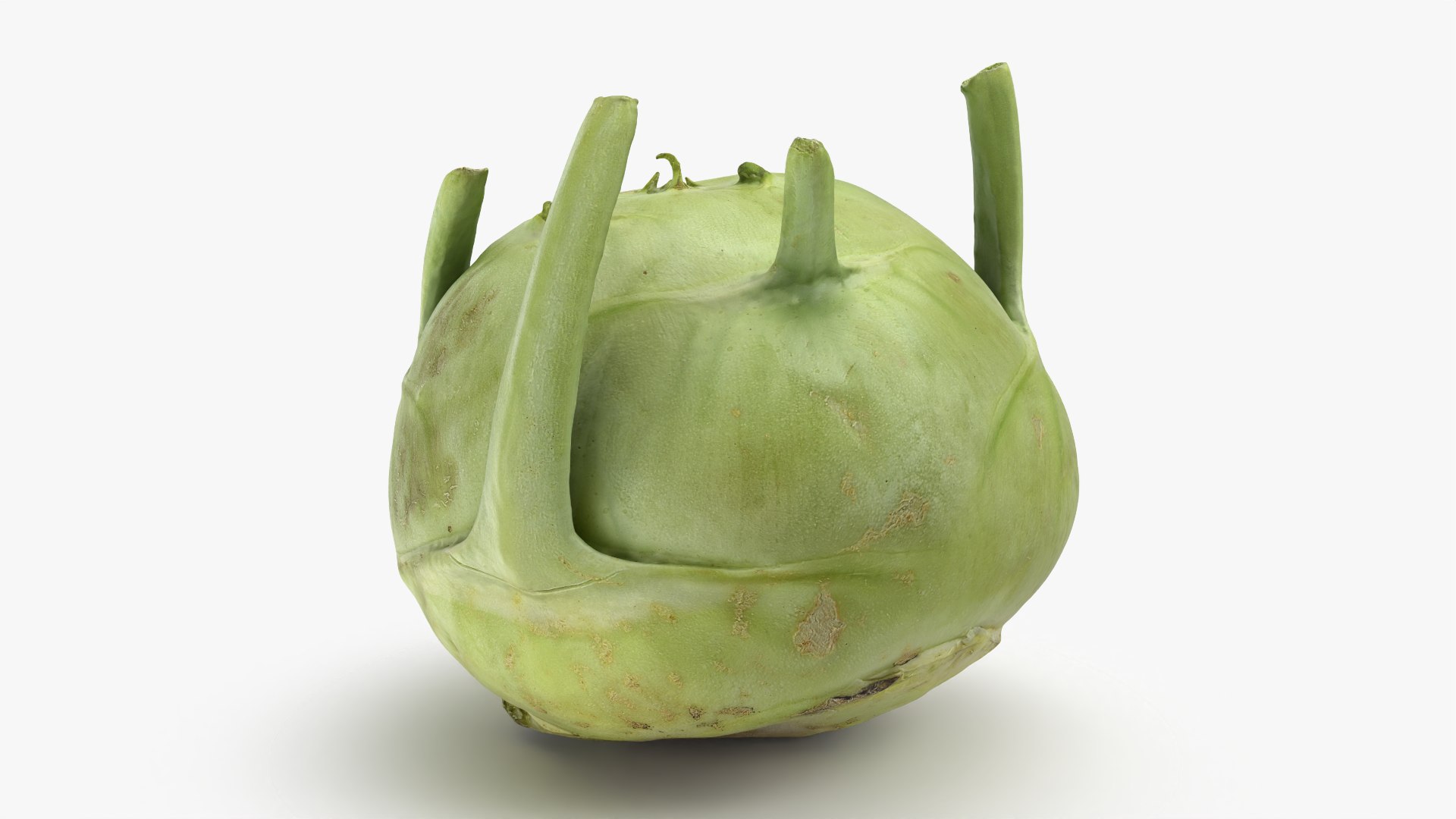 Kohlrabi German Turnip Collection 3D model https://p.turbosquid.com/ts-thumb/SP/AiCc2G/7e/kohlrabi01_0001/png/1783975276/1920x1080/fit_q87/c33ad41096697315d97cc528f29f21de2d2a2eb4/kohlrabi01_0001.jpg