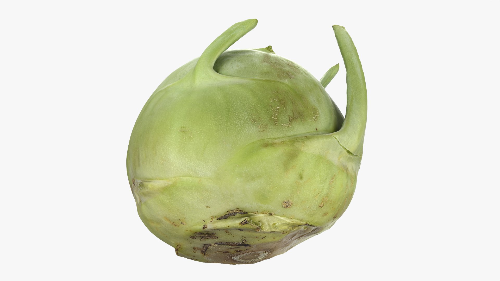 Kohlrabi German Turnip Collection 3D model https://p.turbosquid.com/ts-thumb/SP/AiCc2G/U6/kohlrabi01_0009/png/1783975309/1920x1080/fit_q87/68a615d3b3af210b71a0bb9b51566694aa7dd382/kohlrabi01_0009.jpg