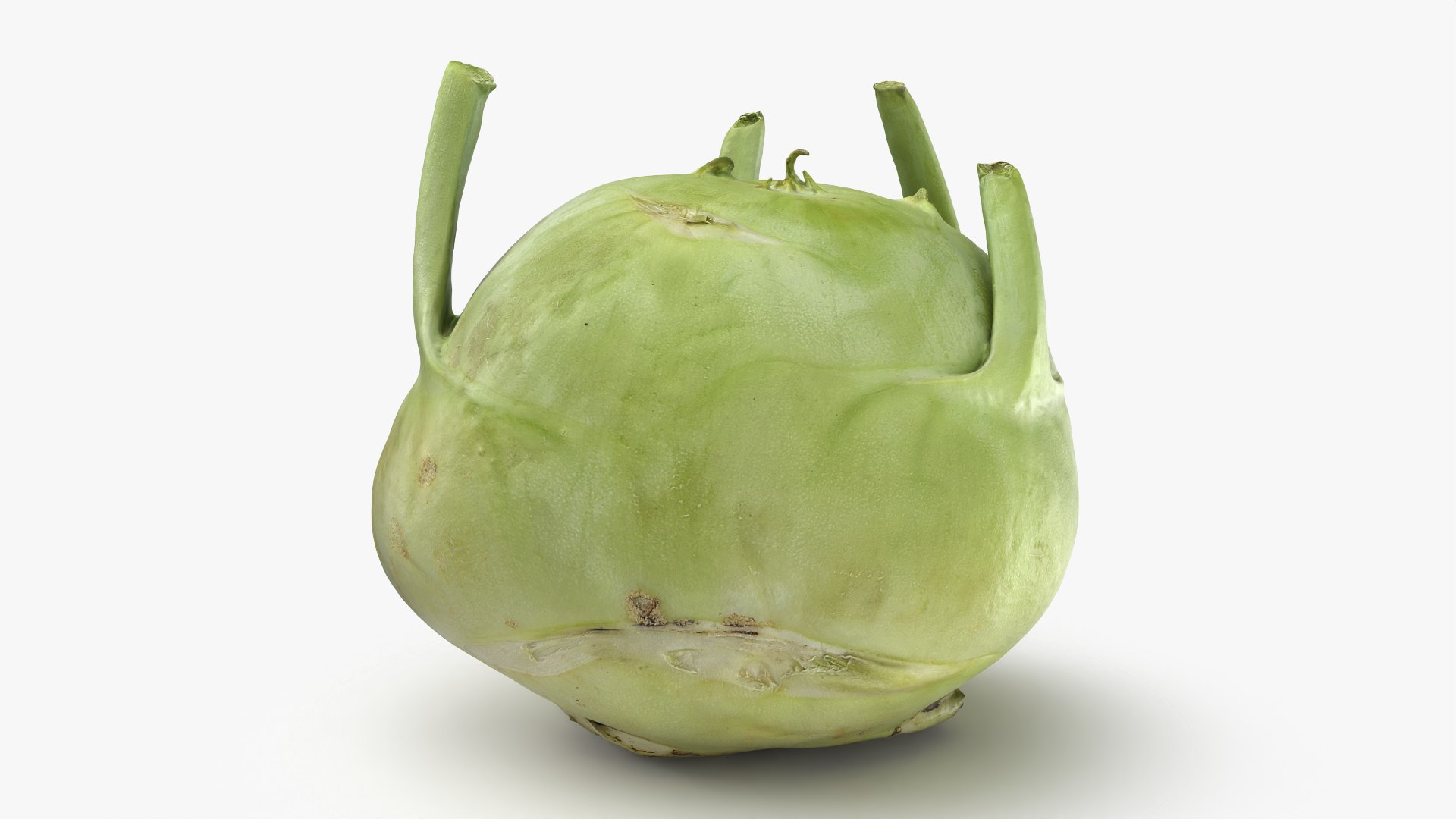 Kohlrabi German Turnip Collection 3D model https://p.turbosquid.com/ts-thumb/SP/AiCc2G/Vx/kohlrabi01_0002/png/1783975287/1920x1080/fit_q87/2233f68cf67e68955a511cca21a871b199593c95/kohlrabi01_0002.jpg