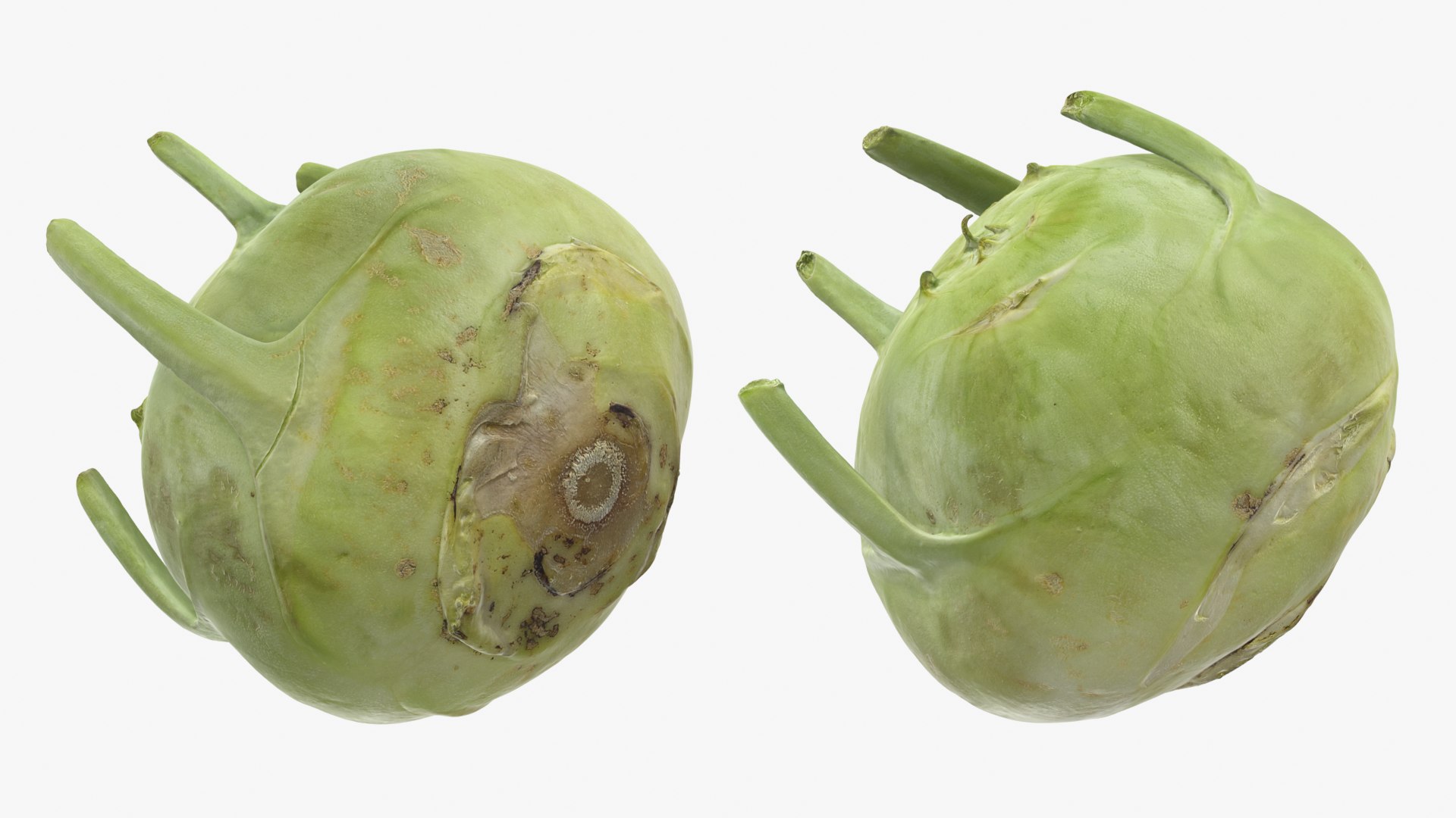 Kohlrabi German Turnip Collection 3D model https://p.turbosquid.com/ts-thumb/SP/AiCc2G/YV/kohlrabi01_0001b/png/1783975282/1920x1080/fit_q87/03518b40d7dc93e06dfd1365bdd1a539d42c7c76/kohlrabi01_0001b.jpg