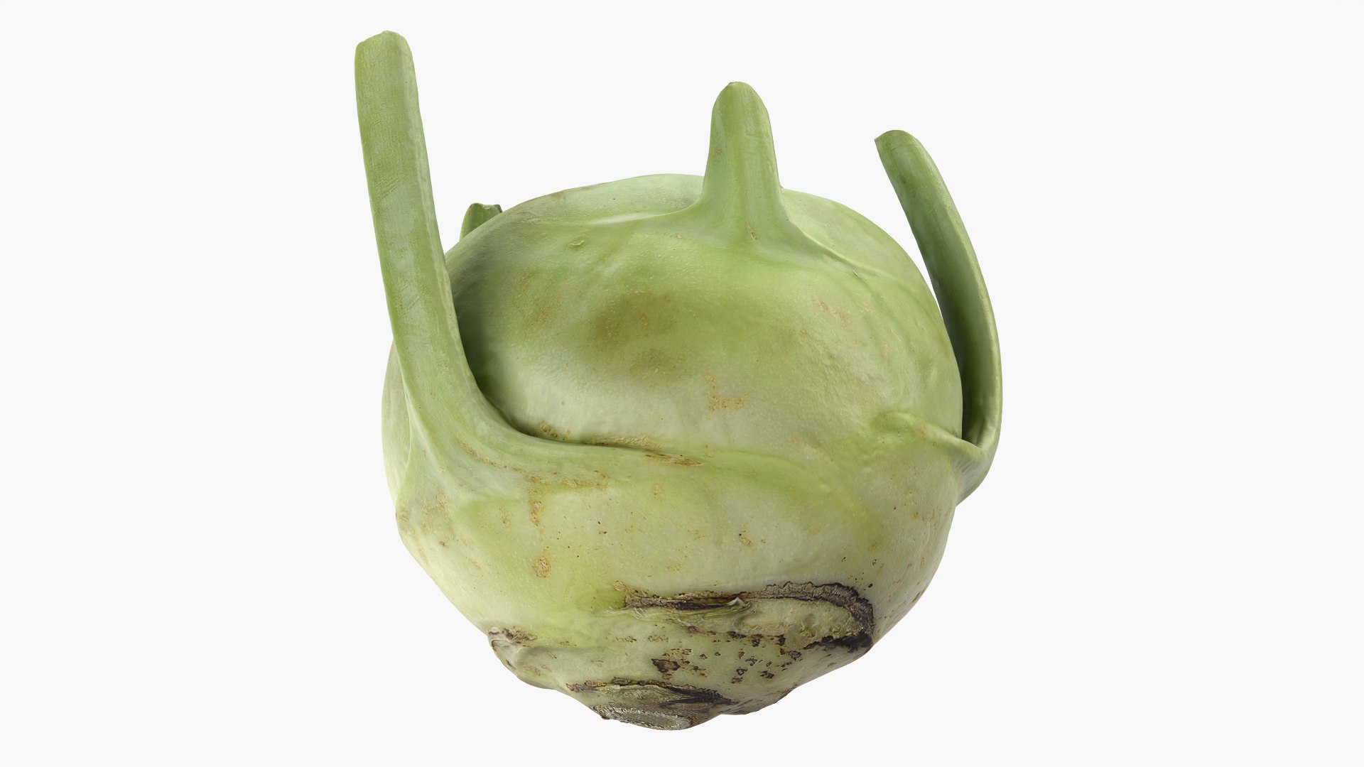 Kohlrabi German Turnip Collection 3D model https://p.turbosquid.com/ts-thumb/SP/AiCc2G/at/kohlrabi02_0009/png/1783975320/1920x1080/fit_q87/e8d8b53b4e31b94270f9fd26123e28999f7a53ef/kohlrabi02_0009.jpg