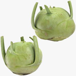 Kohlrabi German Turnip Collection 3D model