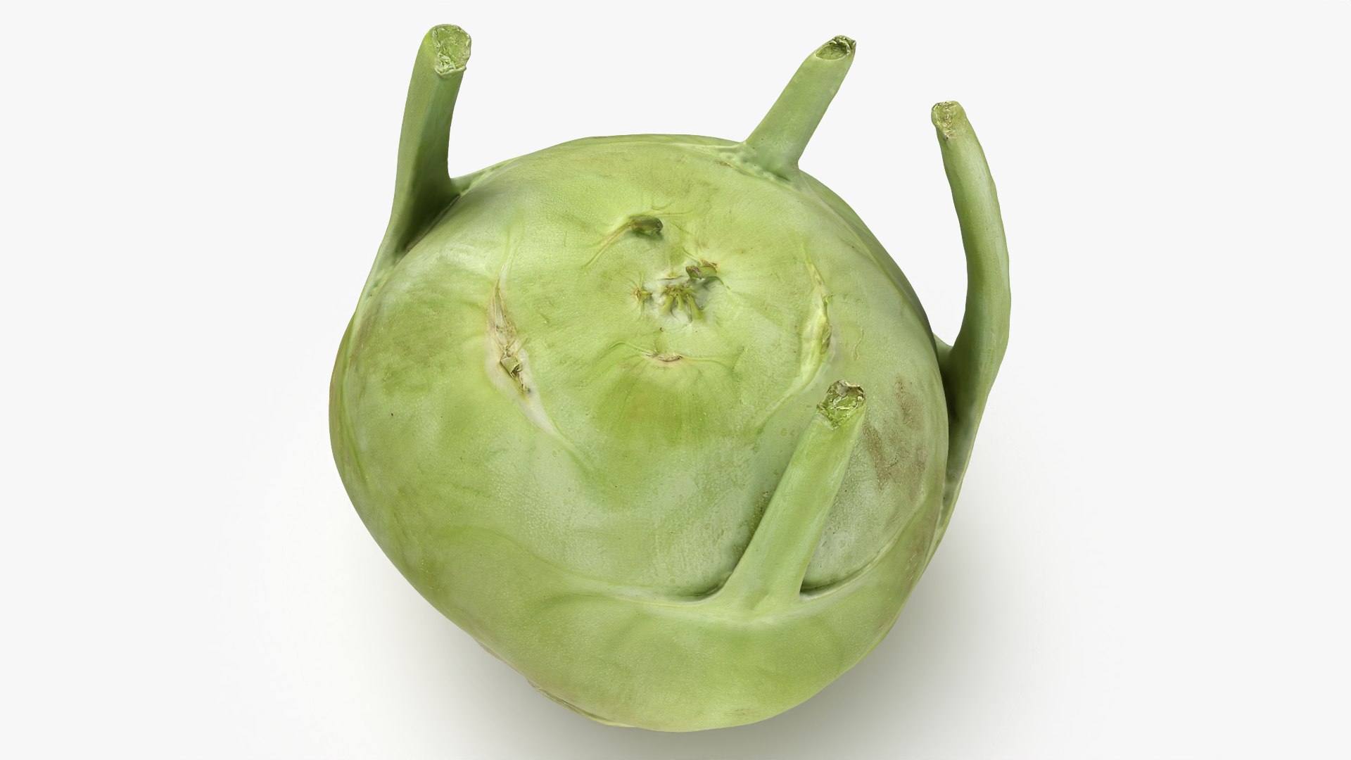 Kohlrabi German Turnip Collection 3D model https://p.turbosquid.com/ts-thumb/SP/AiCc2G/iO/kohlrabi01_0003/png/1783975286/1920x1080/fit_q87/5eae88d089562d277014fa1406d8427667629f8a/kohlrabi01_0003.jpg