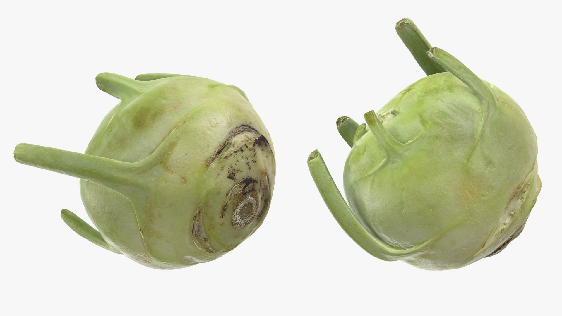 Kohlrabi German Turnip Collection 3D model https://p.turbosquid.com/ts-thumb/SP/AiCc2G/ke/kohlrabi02_0001b/png/1783975300/1920x1080/fit_q87/cb169844bd6d6bfe3629245570897af01ad2e437/kohlrabi02_0001b.jpg