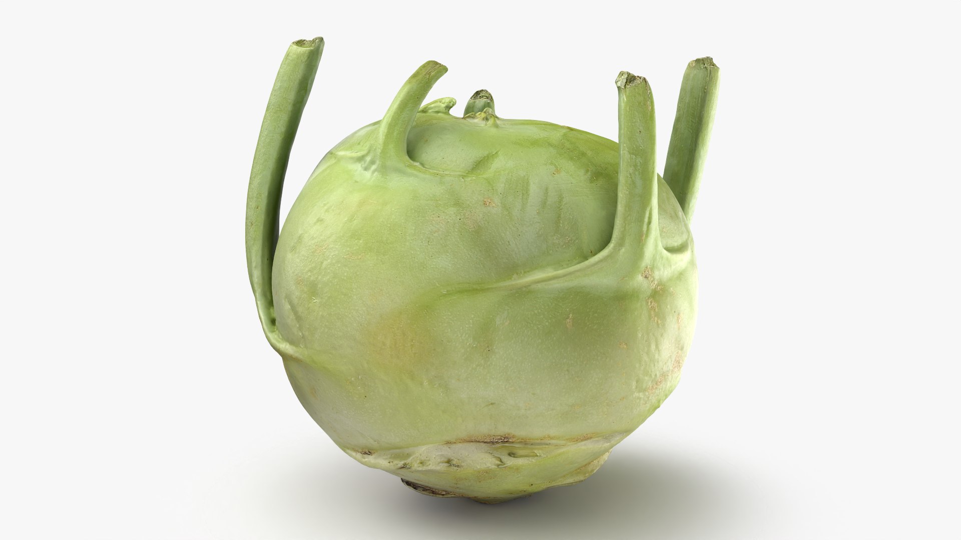 Kohlrabi German Turnip Collection 3D model https://p.turbosquid.com/ts-thumb/SP/AiCc2G/pw/kohlrabi02_0002/png/1783975312/1920x1080/fit_q87/63c3cfc8859c93d18cd0a87a99de5eec9962402c/kohlrabi02_0002.jpg