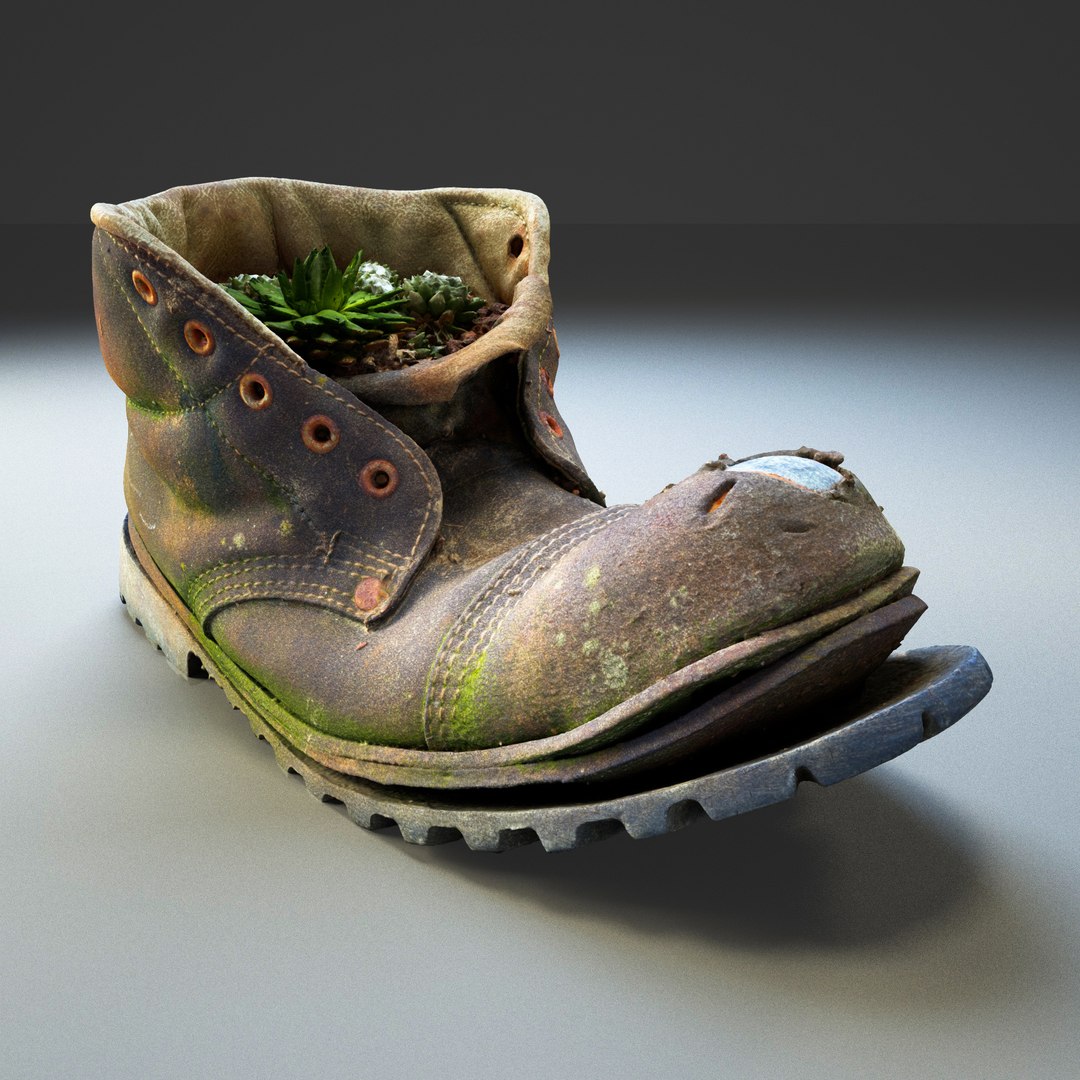 Old Boot Plants 3D Model - TurboSquid 1431563