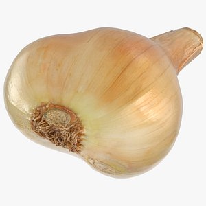 3D onion yellow 03
