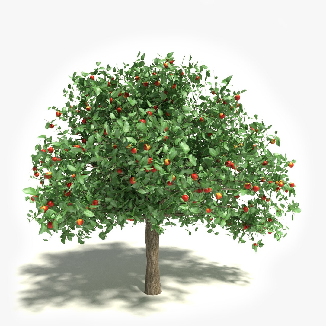  https://p.turbosquid.com/ts-thumb/SP/Wn5tsF/UM85Tu4W/thumbnail/png/1388970884/1920x1080/fit_q87/2ef8e05bdb38f757e2bfc08fae90efd6f6b38800/thumbnail.jpg