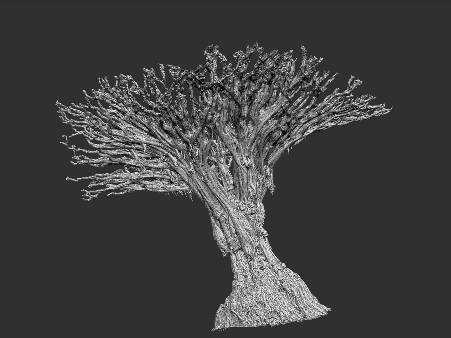 dragon tree old 3d model https://p.turbosquid.com/ts-thumb/SP/WyZA7X/PbgnC1aC/7887/jpg/1442420007/1920x1080/fit_q87/69a9aad08986e2da660396a8e0fdfbbe2dbc1780/7887.jpg