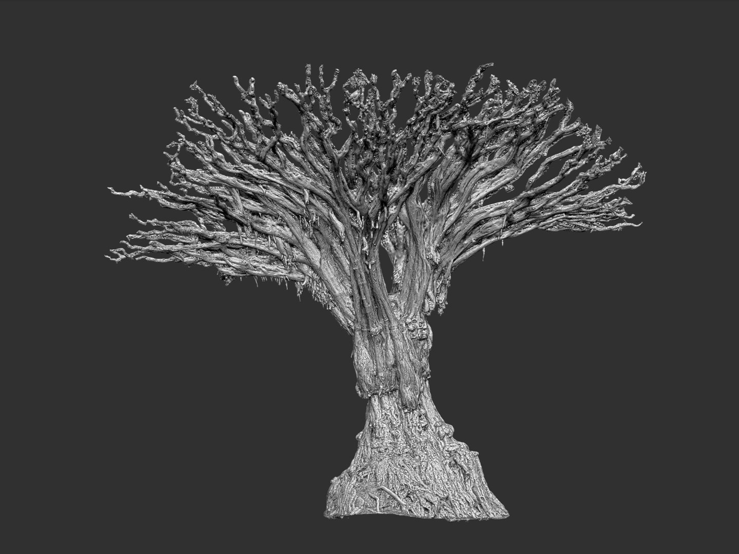 dragon tree old 3d model https://p.turbosquid.com/ts-thumb/SP/WyZA7X/UmejBzDw/56/jpg/1442420007/1920x1080/fit_q87/5320919df05b6cbd4eb426407fb47520479b322d/56.jpg