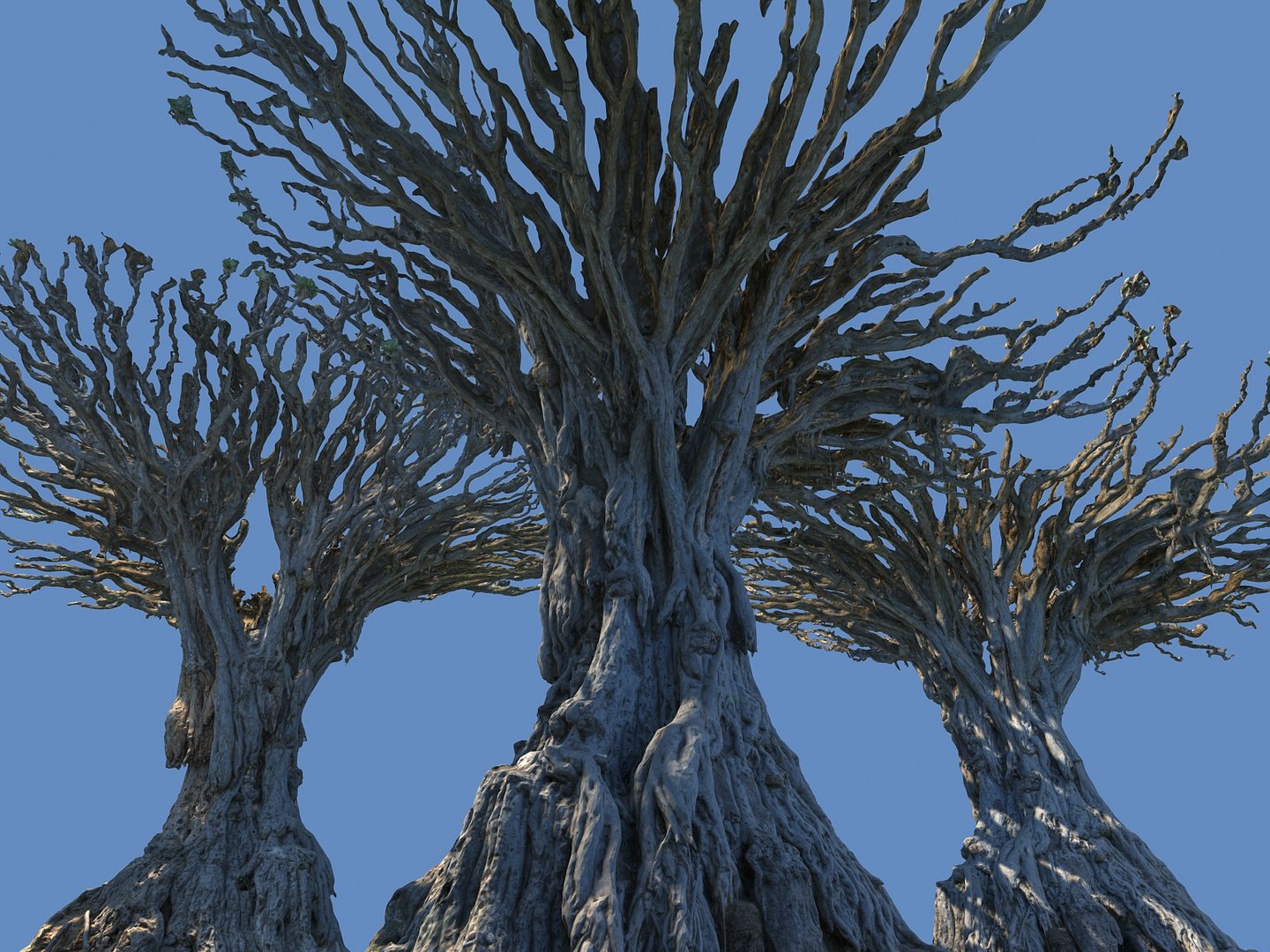 dragon tree old 3d model https://p.turbosquid.com/ts-thumb/SP/WyZA7X/XBa8q0OU/78678678/jpg/1442420007/1920x1080/fit_q87/1f4aaa4c51dacdf75c352dd27a3e71b69bbfdb05/78678678.jpg