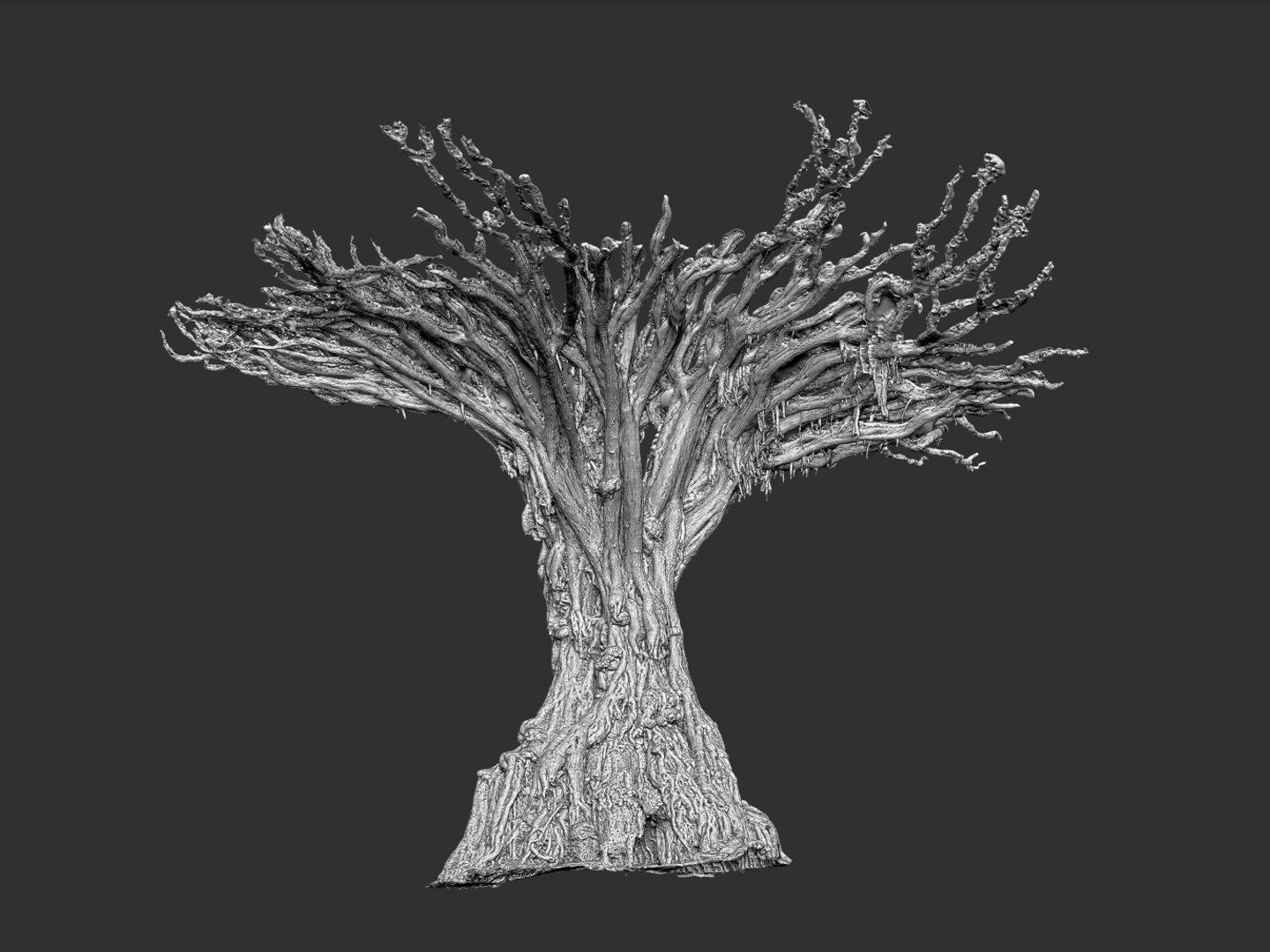 dragon tree old 3d model https://p.turbosquid.com/ts-thumb/SP/WyZA7X/kH7gWoPY/677/jpg/1442420007/1920x1080/fit_q87/c205a57ad0663cf2e0b6ac9feb659c7fa329d306/677.jpg