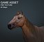 Horse Fawn 2