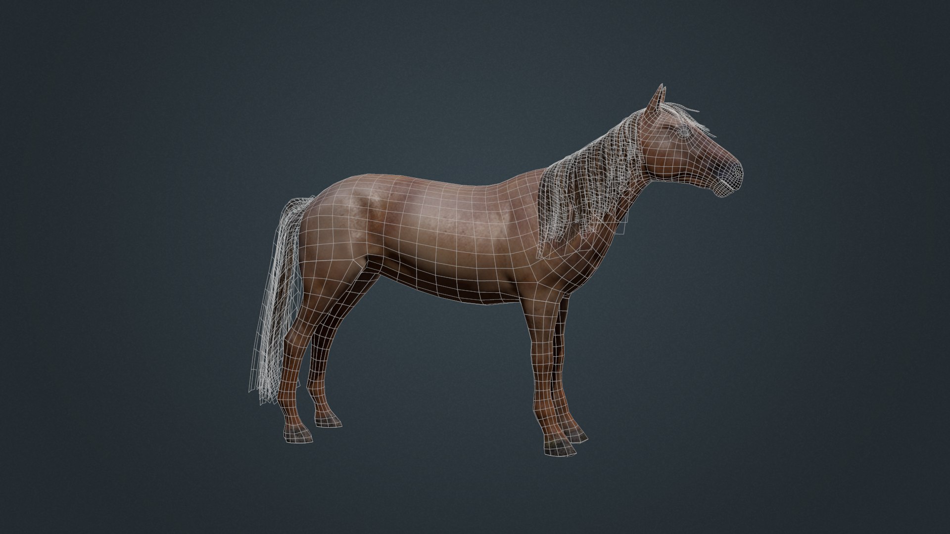 animal mammal horse 3D model https://p.turbosquid.com/ts-thumb/SP/a7WhdU/CxuErNiB/screenshot005/png/1601738464/1920x1080/fit_q87/f6cc242a76dce6766438a6c548480f8802c06126/screenshot005.jpg