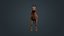 Horse Fawn 2