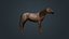Horse Fawn 2