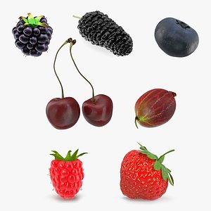 Berries Collection 2