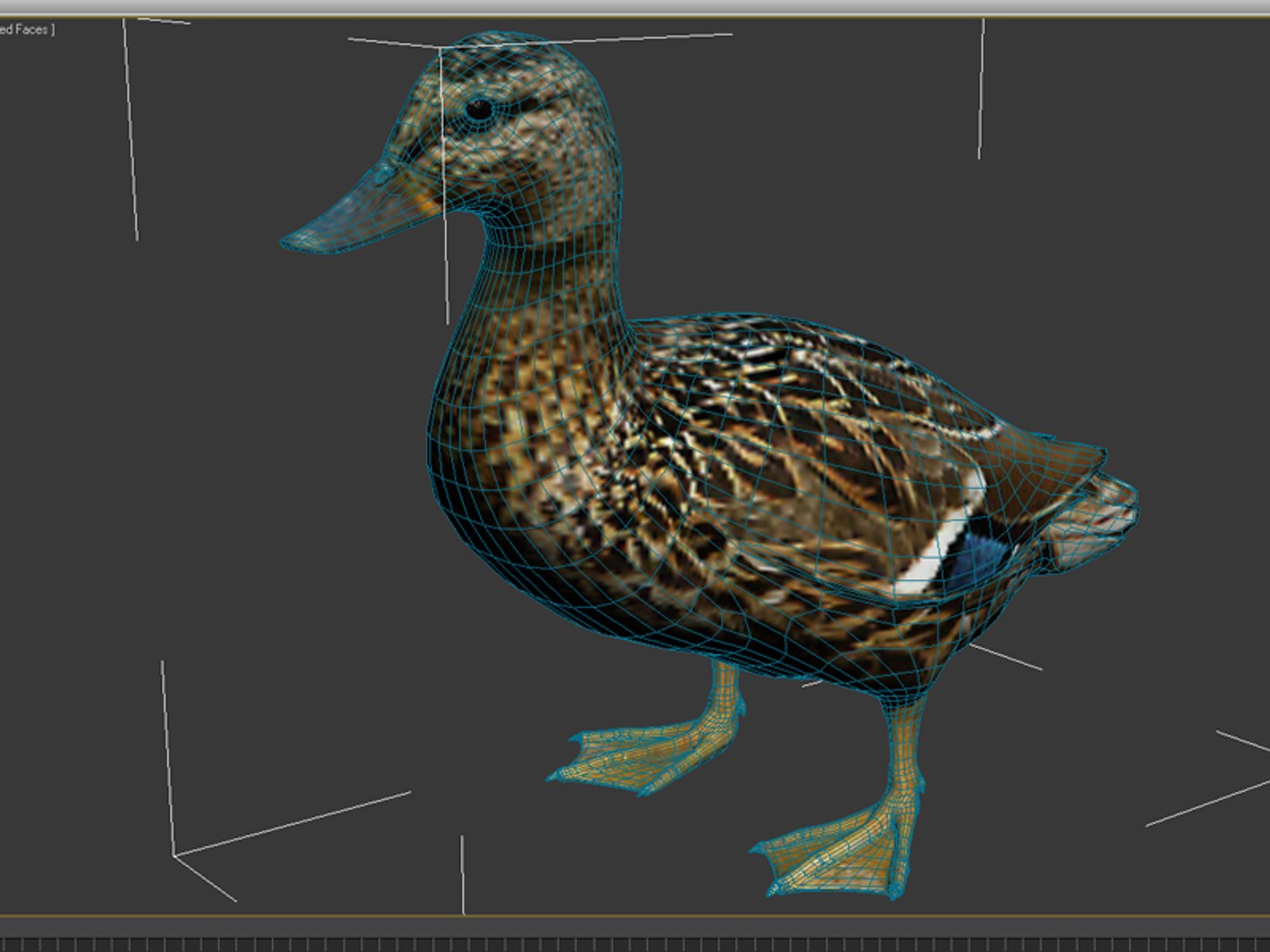 3d Model Duck