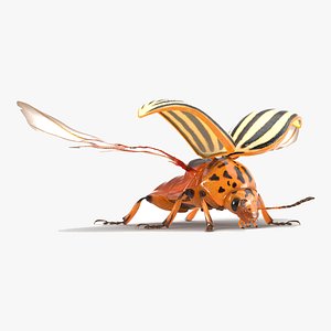 Colorado Potato Beetle 2 Rigged for Cinema 4D