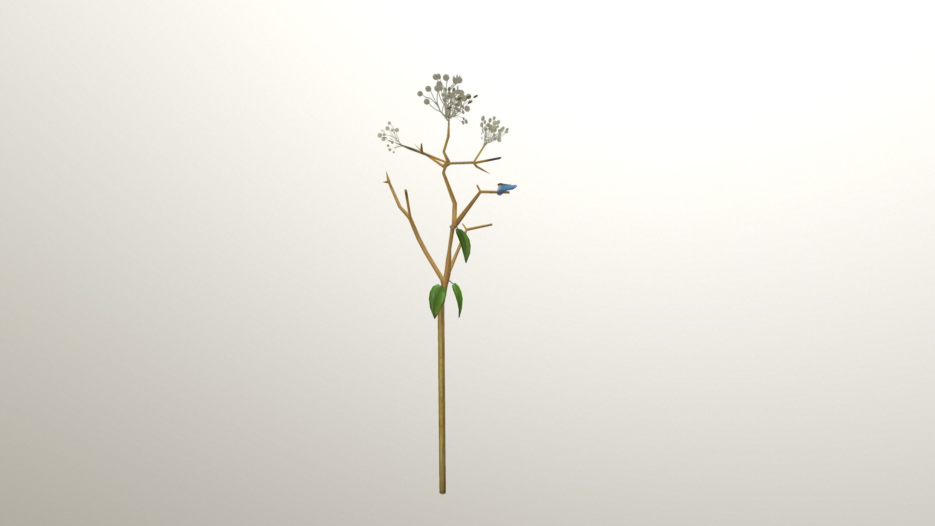 quray 3D model https://p.turbosquid.com/ts-thumb/SQ/9qBumC/KTS7iPei/a/png/1514237721/1920x1080/fit_q87/fd6cbb38c3621d9690ef557d4c4190473f11810b/a.jpg